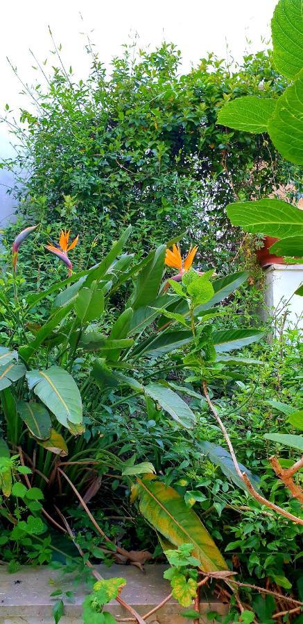 Garden House Pompei Vesuvio Trecase Exterior foto