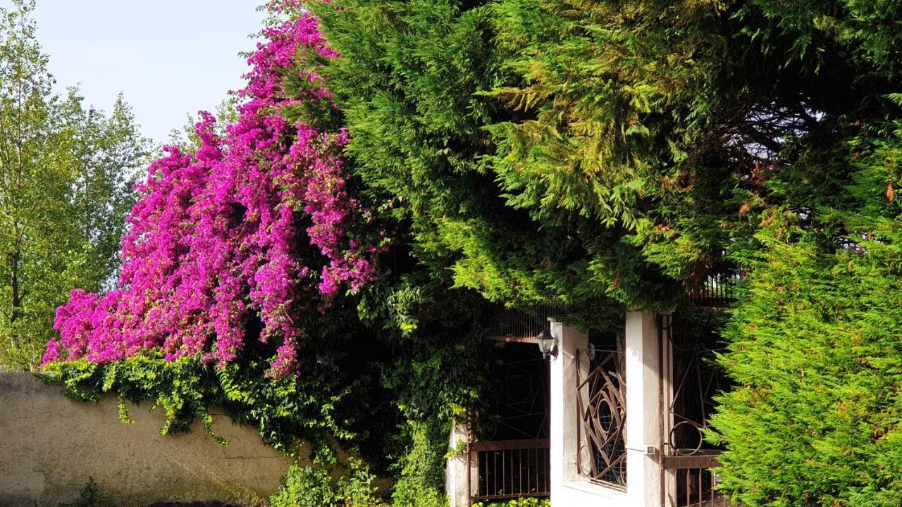 Garden House Pompei Vesuvio Trecase Exterior foto