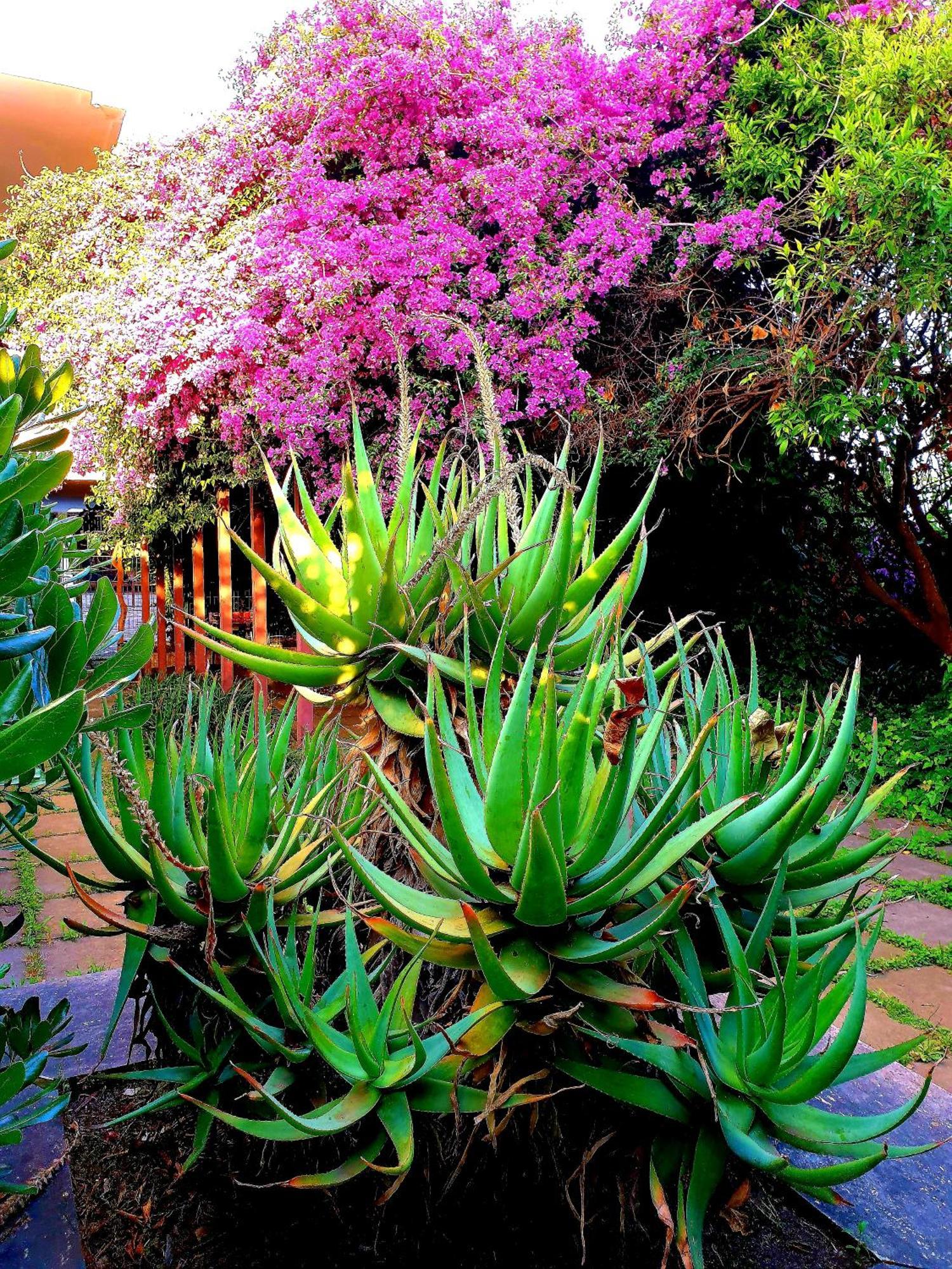 Garden House Pompei Vesuvio Trecase Exterior foto