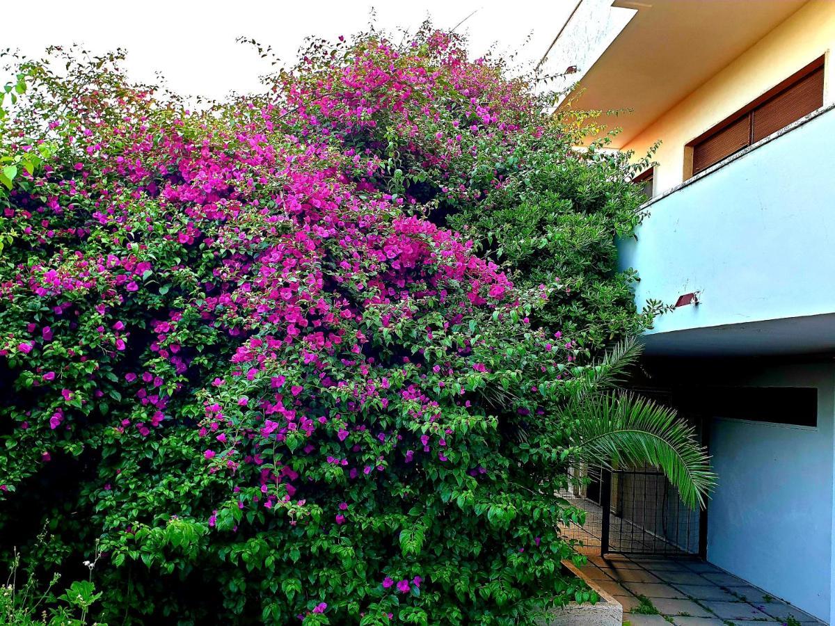 Garden House Pompei Vesuvio Trecase Exterior foto