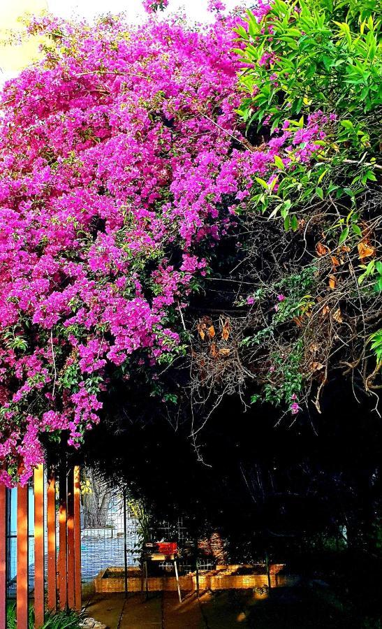 Garden House Pompei Vesuvio Trecase Exterior foto