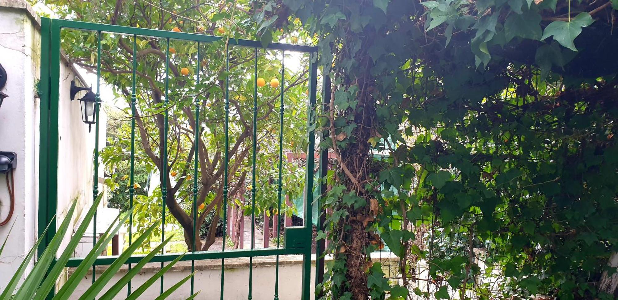 Garden House Pompei Vesuvio Trecase Quarto foto