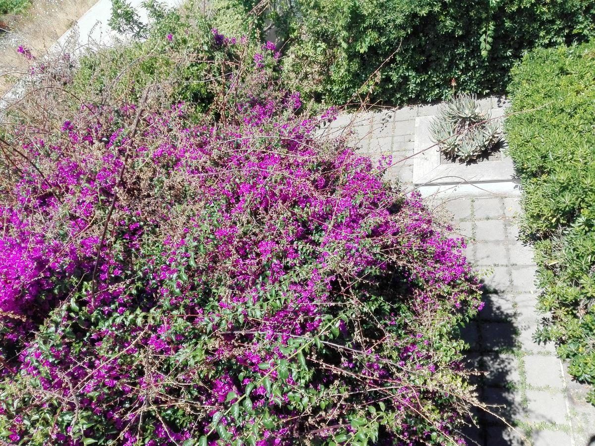 Garden House Pompei Vesuvio Trecase Exterior foto